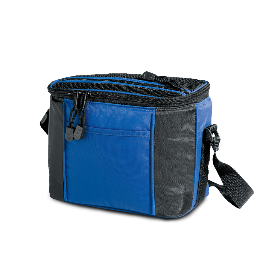 Port Authority BG87 Premium Insulated 6-Pack Cooler Bag