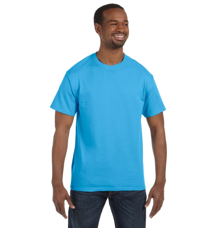 Hanes 5250T Hanes Men's Authentic-T T-Shirt