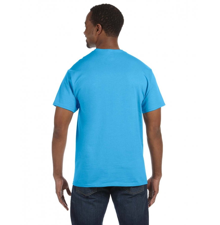 Hanes 5250T Hanes Men's Authentic-T T-Shirt