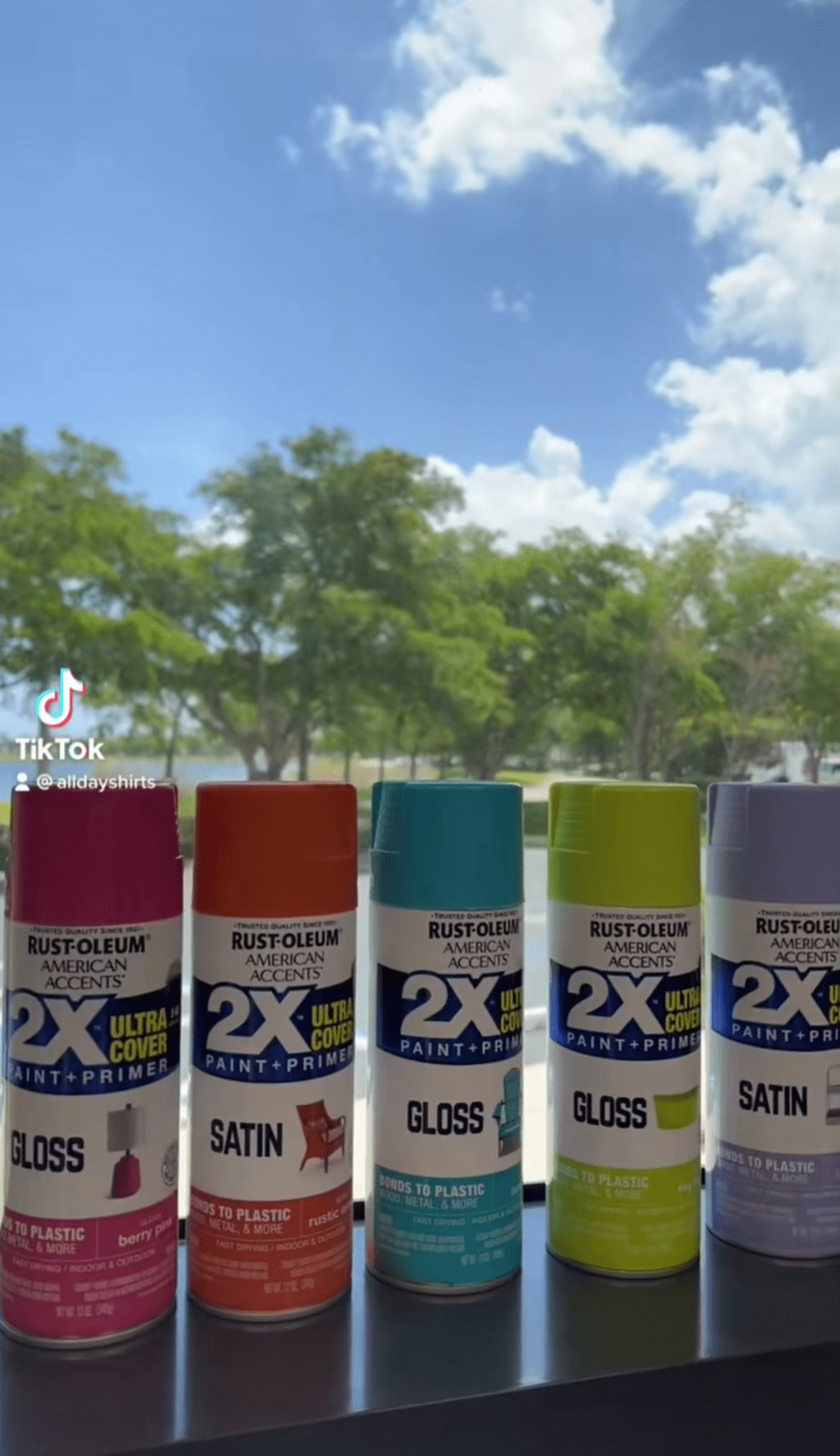 Rust-oleum spray paint
