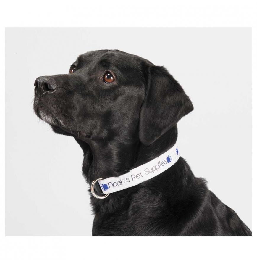 Full Color 1 Wide Adjustable Pet Collar